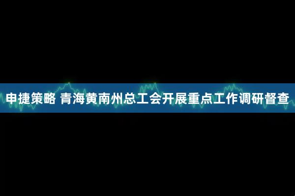 申捷策略 青海黄南州总工会开展重点工作调研督查