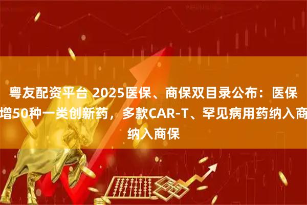 粤友配资平台 2025医保、商保双目录公布：医保新增50种一类创新药，多款CAR-T、罕见病用药纳入商保